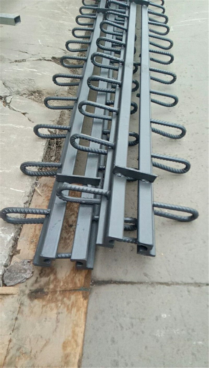 RG型橋梁伸縮縫 4_副本